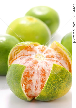 藍色橘子 63956654