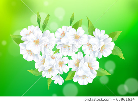 Cherry blossom illustration, 63961634