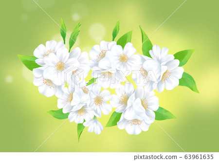 Cherry blossom illustration, 63961635