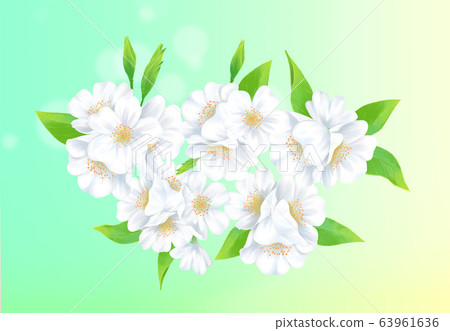 Cherry blossom illustration, 63961636
