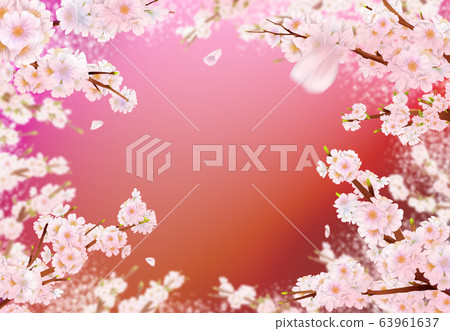 Cherry blossom illustration, 63961637