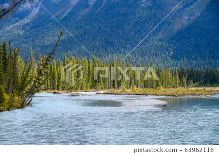 Autumn Canadian Rockies Yellow Kootney Valley (Kutney National Park Canada BC) 63962116