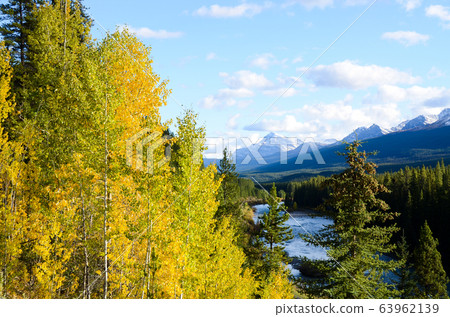 露易絲湖附近的秋天加拿大落基山脈-黃色的葉子,山脈和弓河(班夫國家公園-艾伯塔省,加拿大) 露易絲湖附近的秋天加拿大落基山脈-黃色的葉子,山脈和弓河(班夫國家公園-艾伯塔省,加拿大) 63962139