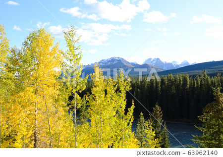 露易絲湖附近的秋天加拿大落基山脈-黃色的葉子,山脈和弓河(班夫國家公園-艾伯塔省,加拿大) 露易絲湖附近的秋天加拿大落基山脈-黃色的葉子,山脈和弓河(班夫國家公園-艾伯塔省,加拿大) 63962140