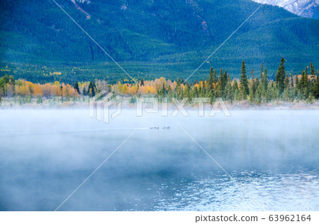 落在朱紅色湖上的霧中的加拿大落基山脈水鳥在黎明時分(加拿大班夫國家公園) 落在朱紅色湖上的霧中的加拿大落基山脈水鳥在黎明時分(加拿大班夫國家公園) 63962164