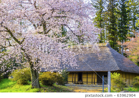 櫻花和赤澤住宅 櫻花和赤澤住宅 63962904