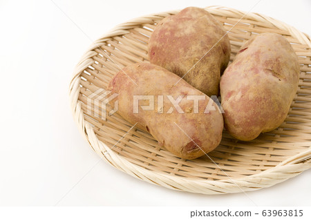 紅土豆與土壤 紅土豆與土壤 63963815