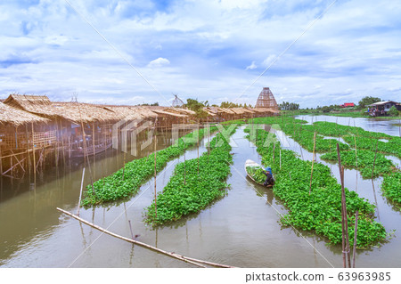 Female farmer paddle in the river to collect morning glory for sale beside Sa Pan Khong floating market in Suphan Buri province, Thailand Female farmer paddle in the river to collect morning glory for sale beside Sa Pan Khong floating market in Suphan Buri province, Thailand 63963985