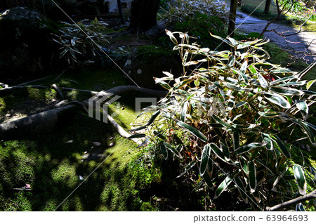 Matsuhamaken, Yatsushiro City, Kumamoto Prefecture Matsuhamaken, Yatsushiro City, Kumamoto Prefecture 63964693