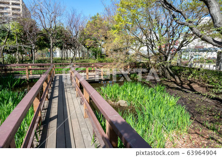 本鄉水上公園 63964904