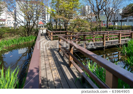 本鄉水上公園 本鄉水上公園 63964905