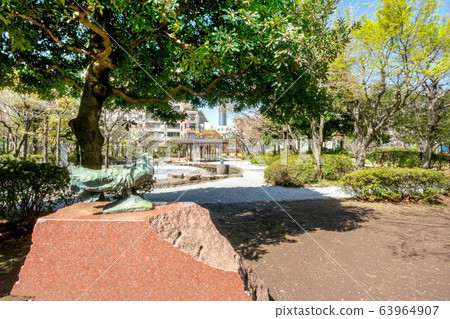 本鄉水上公園 63964907