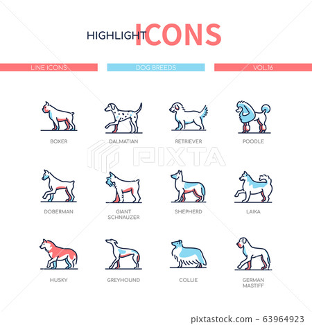 Dog breeds - modern line design style icons set Dog breeds - modern line design style icons set 63964923