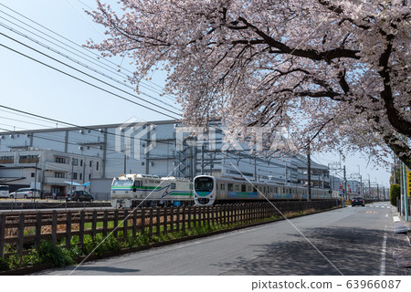 Seibu Shinjuku Line and Sakura Series 30000 (smile train) 63966087