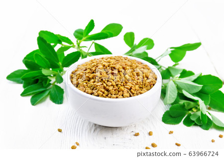 Fenugreek with green leaves in bowl on white board 63966724