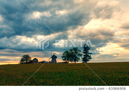 Sunset over a field of dandelions and a windmill 63966906