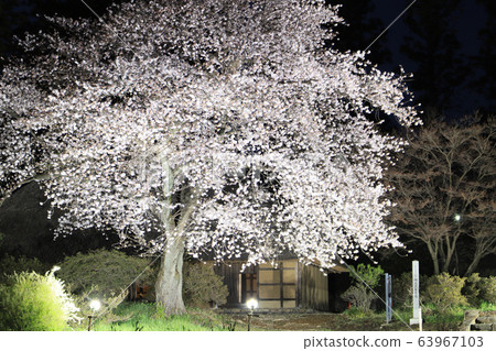 Akuzawa Family Residence (Light up) 63967103