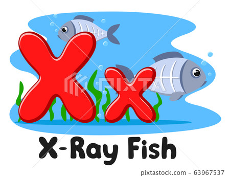 X ray fish letter on a white background. Alphabet X ray fish letter on a white background. Alphabet 63967537