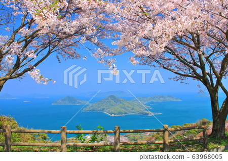 [Kagawa Prefecture] Shimozuyama and the Seto Inland Sea with cherry blossoms in full bloom 63968005