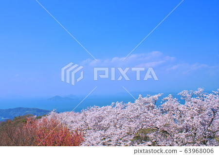 [香川縣]下松山和盛開著櫻花的瀨戶內海 63968006