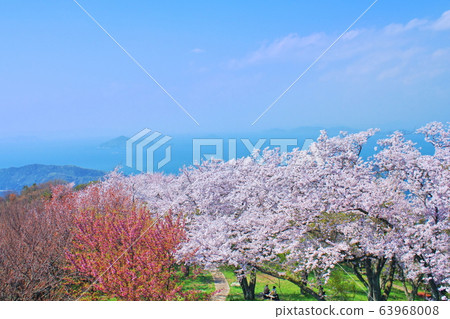 [香川縣]下松山和盛開著櫻花的瀨戶內海 63968008