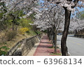 Spring 63968134