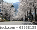 Spring 63968135