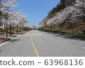 Spring 63968136