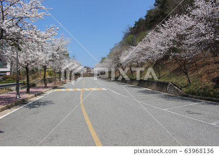 Spring 63968136