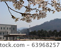 Cherry blossom viewing 63968257