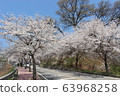 Spring street 63968258