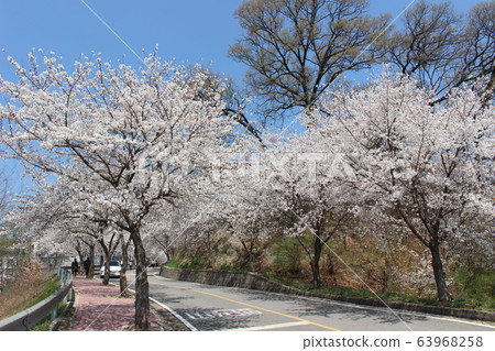 Spring street 63968258