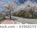 Spring street 63968259