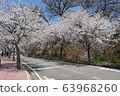 Spring 63968260