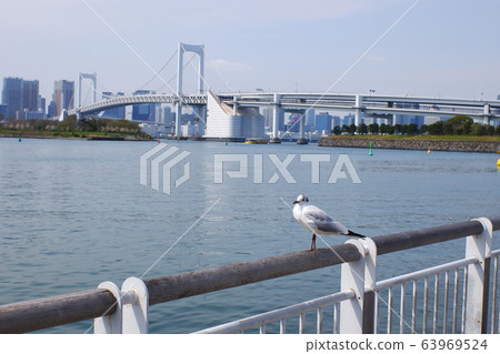 台場海灘公園 63969524