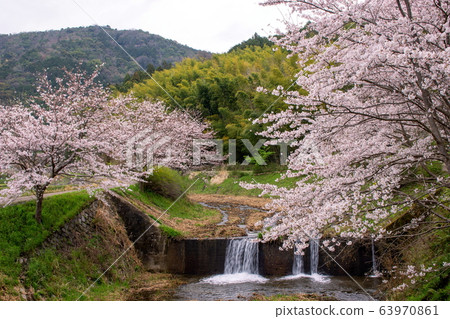 Kyoto Spring Satoyama 63970861
