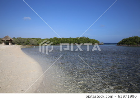 曼格哈德海灘@阿魯巴島 63971990