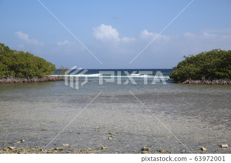 Mangerhard Beach @ Aruba Mangerhard Beach @ Aruba 63972001