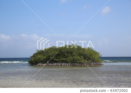 Mangerhard Beach @ Aruba 63972002