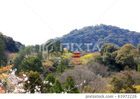清水寺(京都)為基礎的三層寶塔和櫻花 清水寺(京都)為基礎的三層寶塔和櫻花 63972226