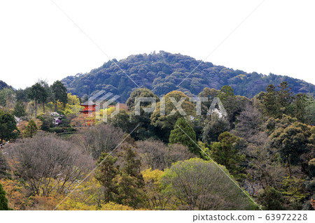 清水寺(京都)為基礎的三層寶塔和櫻花 清水寺(京都)為基礎的三層寶塔和櫻花 63972228