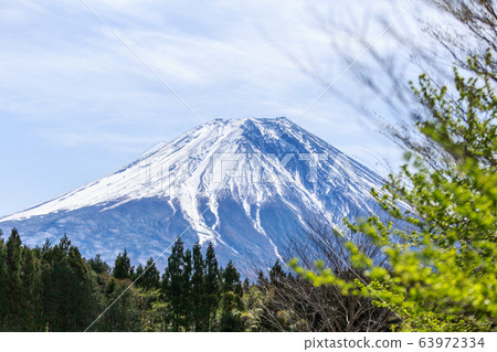 富士朝霧山營地 富士朝霧山營地 63972334