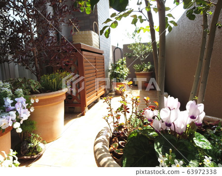 Veranda gardening 63972338