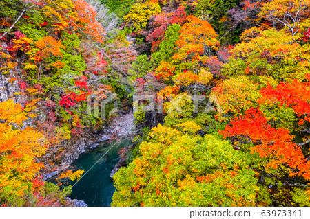 Tsuchikyo Gorge (Autumn) 63973341