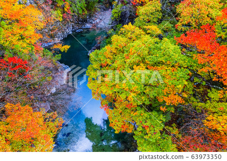 Tsuchikyo Gorge (Autumn) Tsuchikyo Gorge (Autumn) 63973350