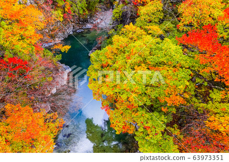 土chi峽(秋天) 土chi峽(秋天) 63973351