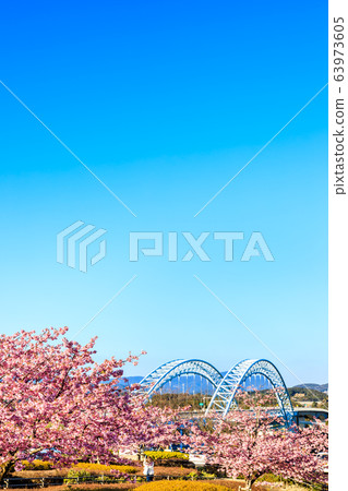 心齋橋和川津櫻[長崎縣西海市] 63973605