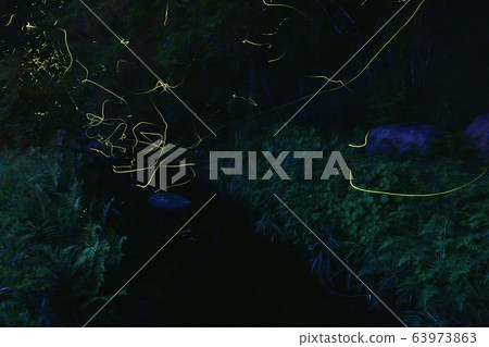 Flock of fireflies 63973863