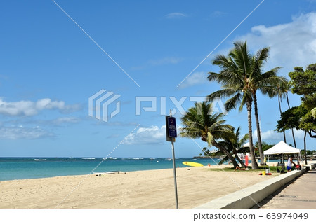 夏威夷的假期 夏威夷的假期 63974049