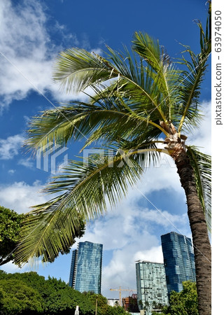 夏威夷的假期 夏威夷的假期 63974050